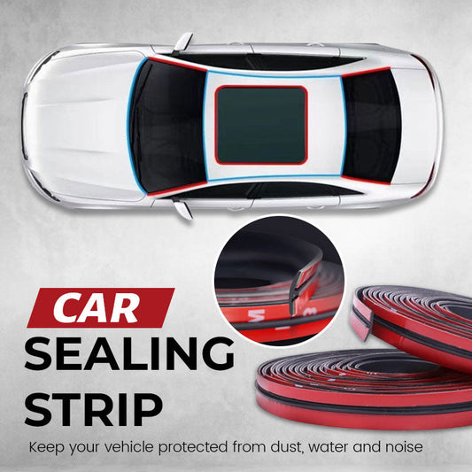 Car Seal Strip