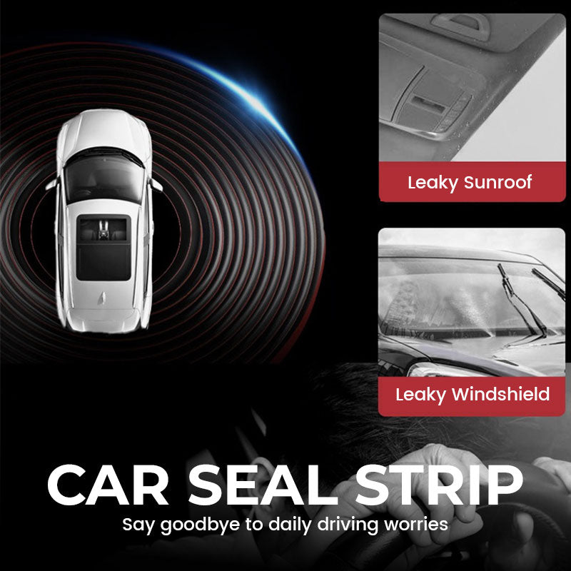 Car Seal Strip